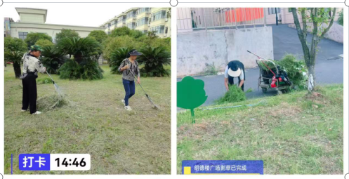 暖心后勤护校园 细致服务筑保障